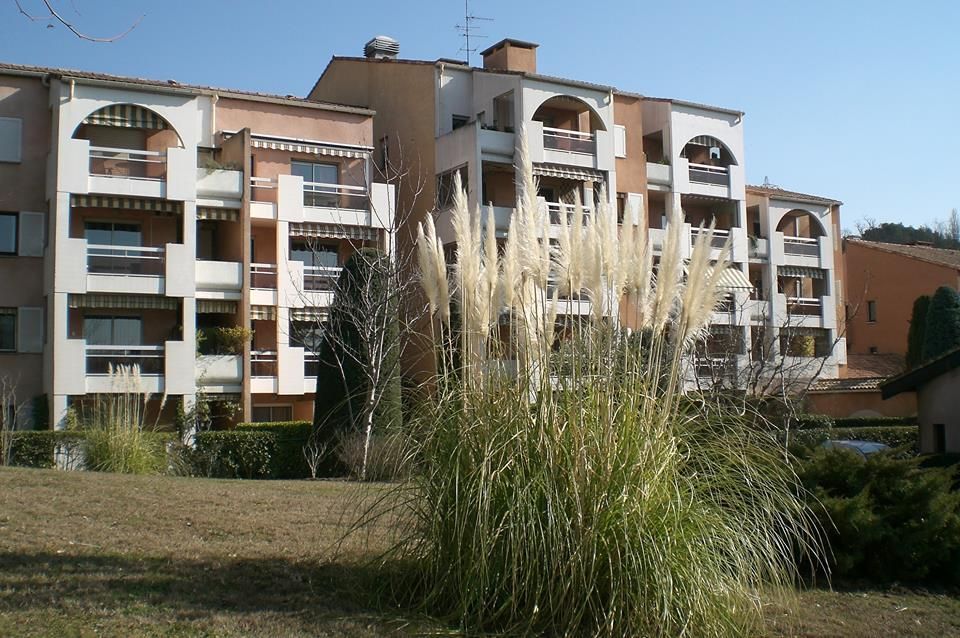 Immeuble d'appartements avec balcons, beige et marron, derrière de hautes herbes ornementales duveteuses.