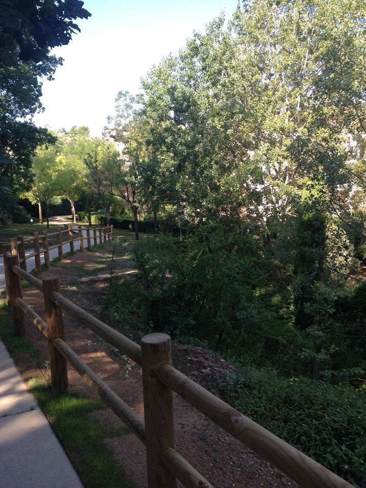 Une clôture en bois borde un chemin à travers un parc. Arbres et feuillage emplissent le paysage.