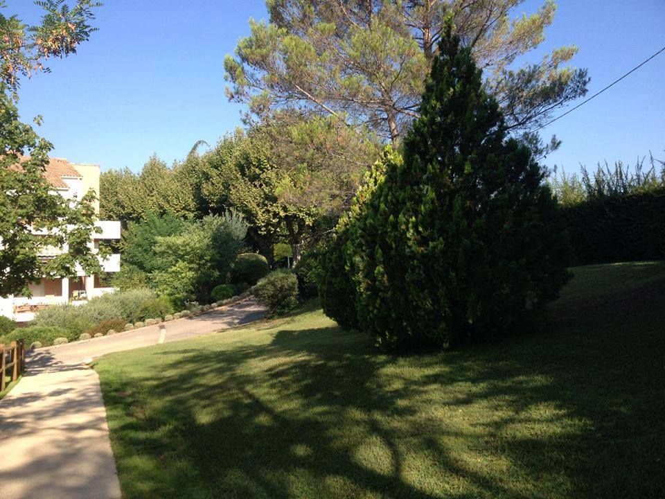 Pelouse verte avec des arbres et un bâtiment par une journée ensoleillée.