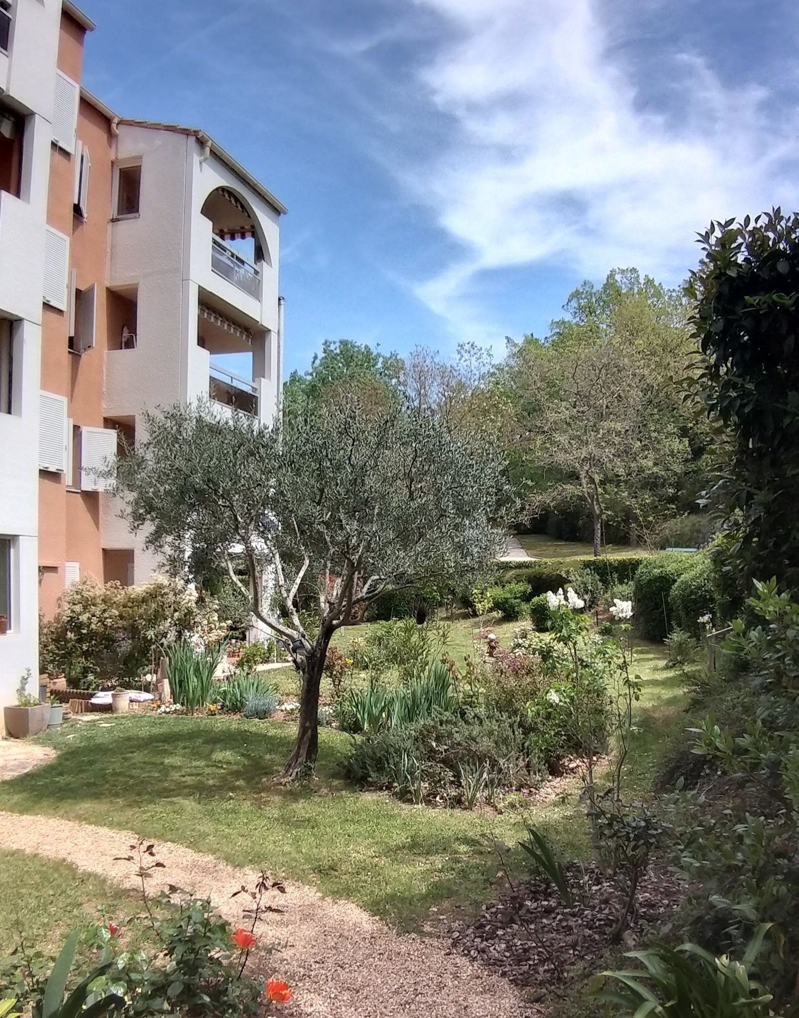 Immeuble d'appartements avec un chemin de jardin et des arbres.
