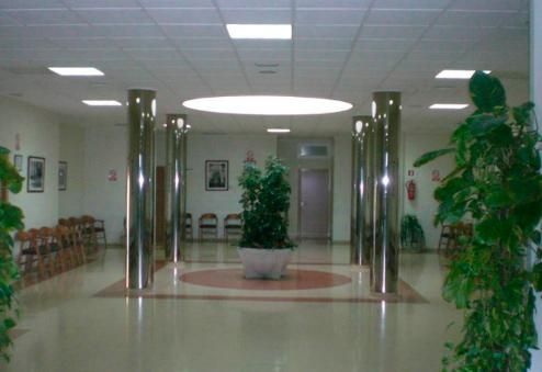 Un gran pasillo con columnas y una planta en maceta en el medio.