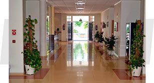 Un largo pasillo lleno de plantas en macetas y un extintor de incendios.