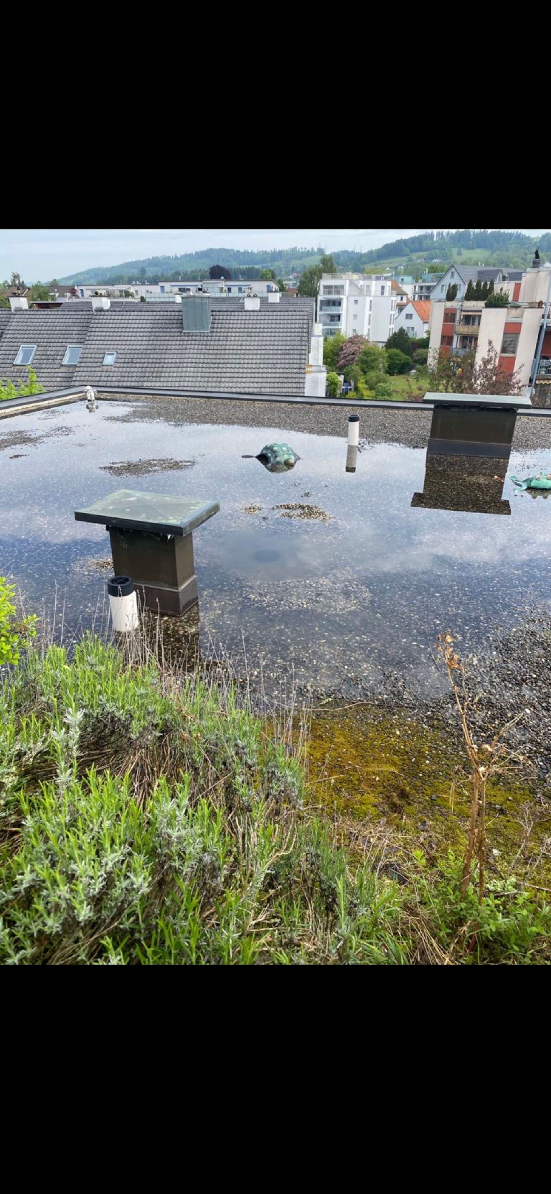 Rohr Meister Kanalreinigung Zürich| Zürich