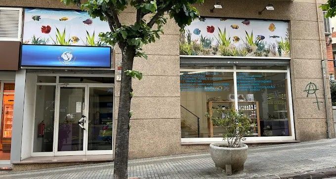 Tienda de acuarios con escaparate con decoraciones de peces y plantas. Un árbol dificulta la vista.