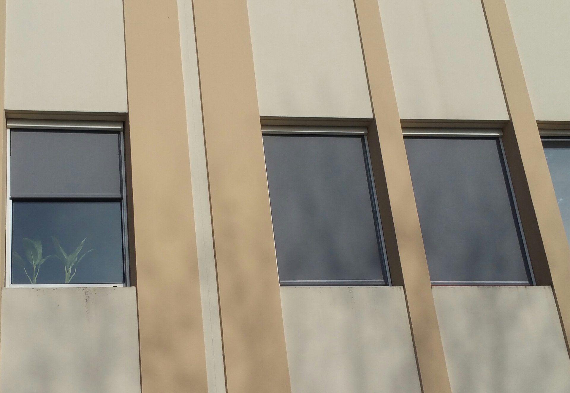 store vertical fenêtres