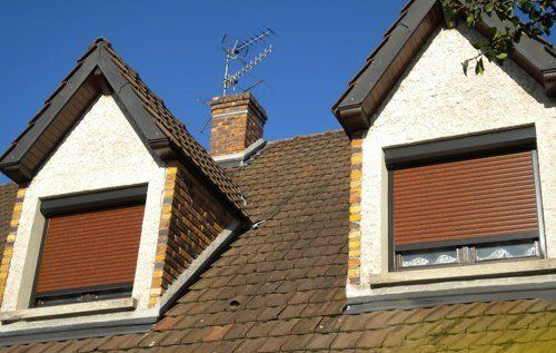 volet roulant chien assis