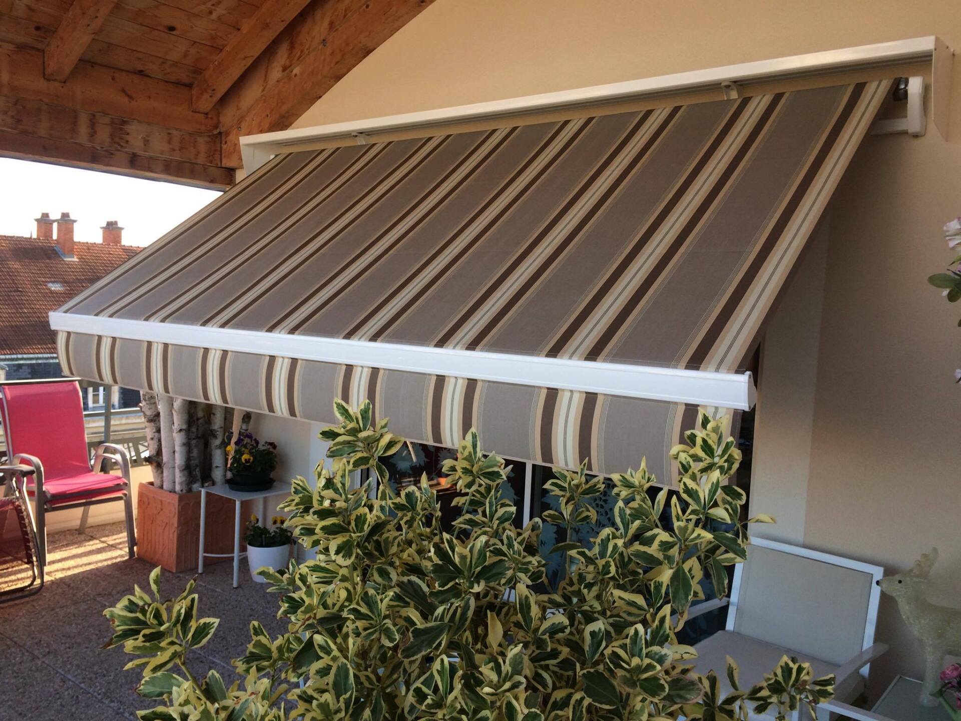 store et végétrationj