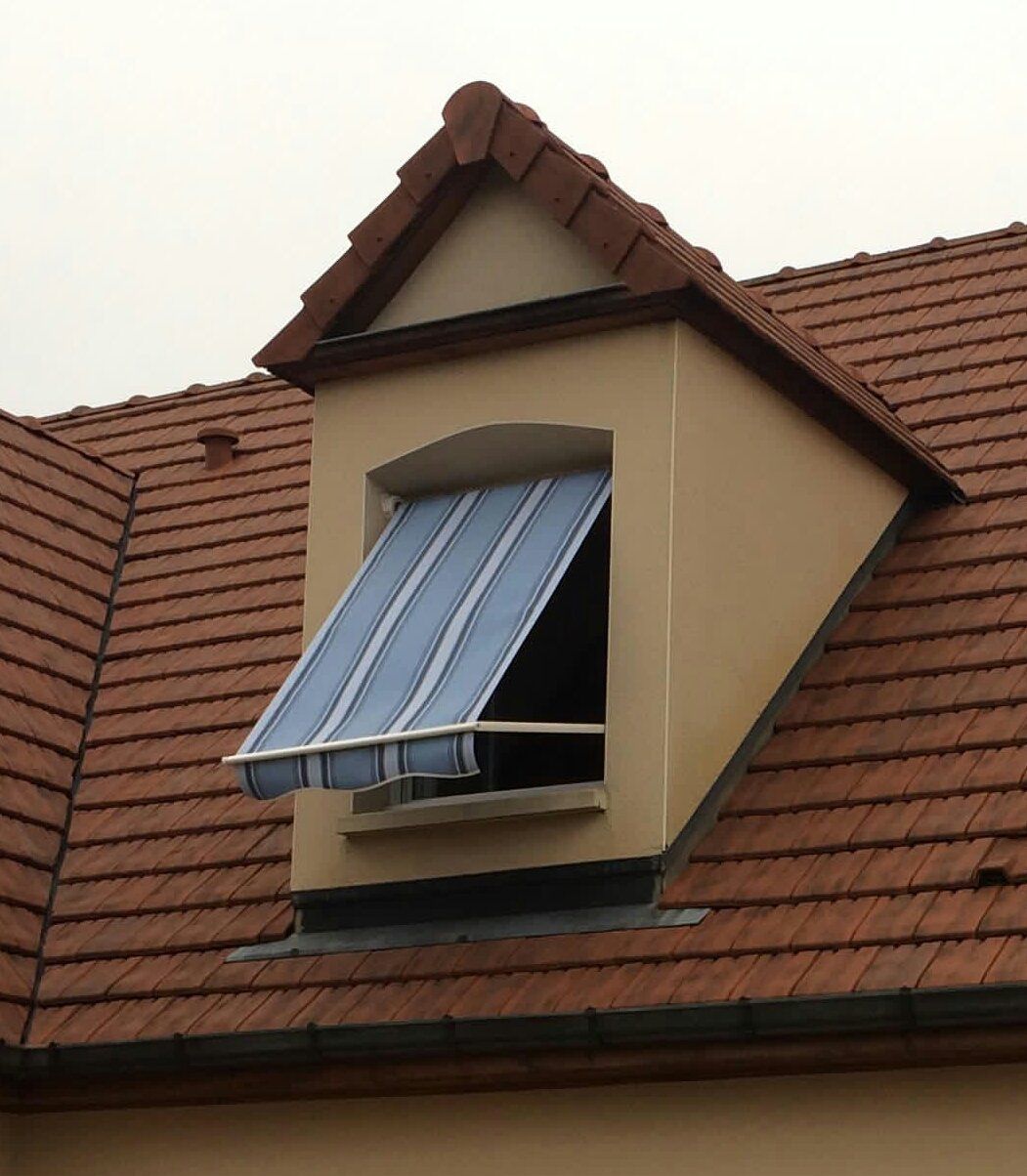 Store projection chien assis rayé