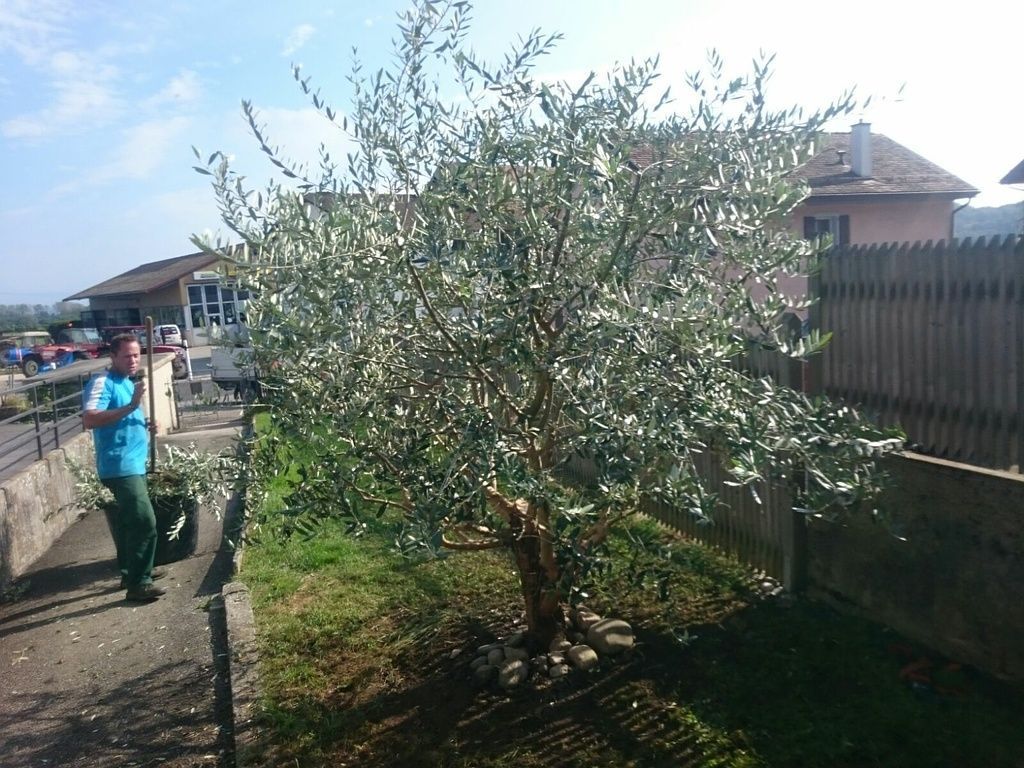 Charotton Paysages Sàrl