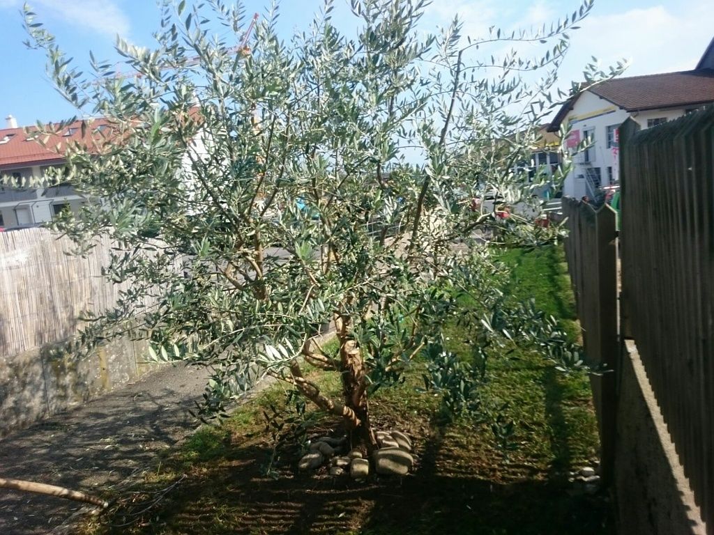 Charotton Paysages Sàrl