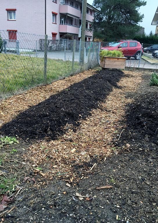 Culture sur buttes en hiver