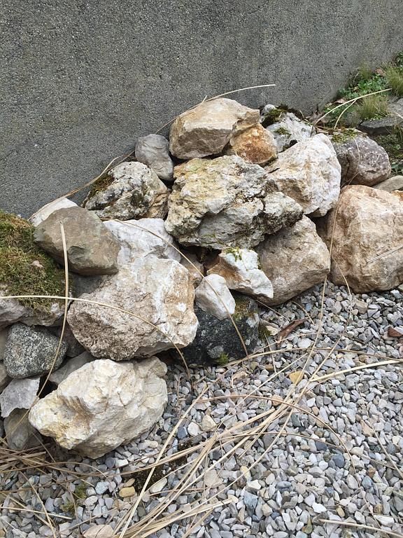 empierrement pour lézard et réptiles