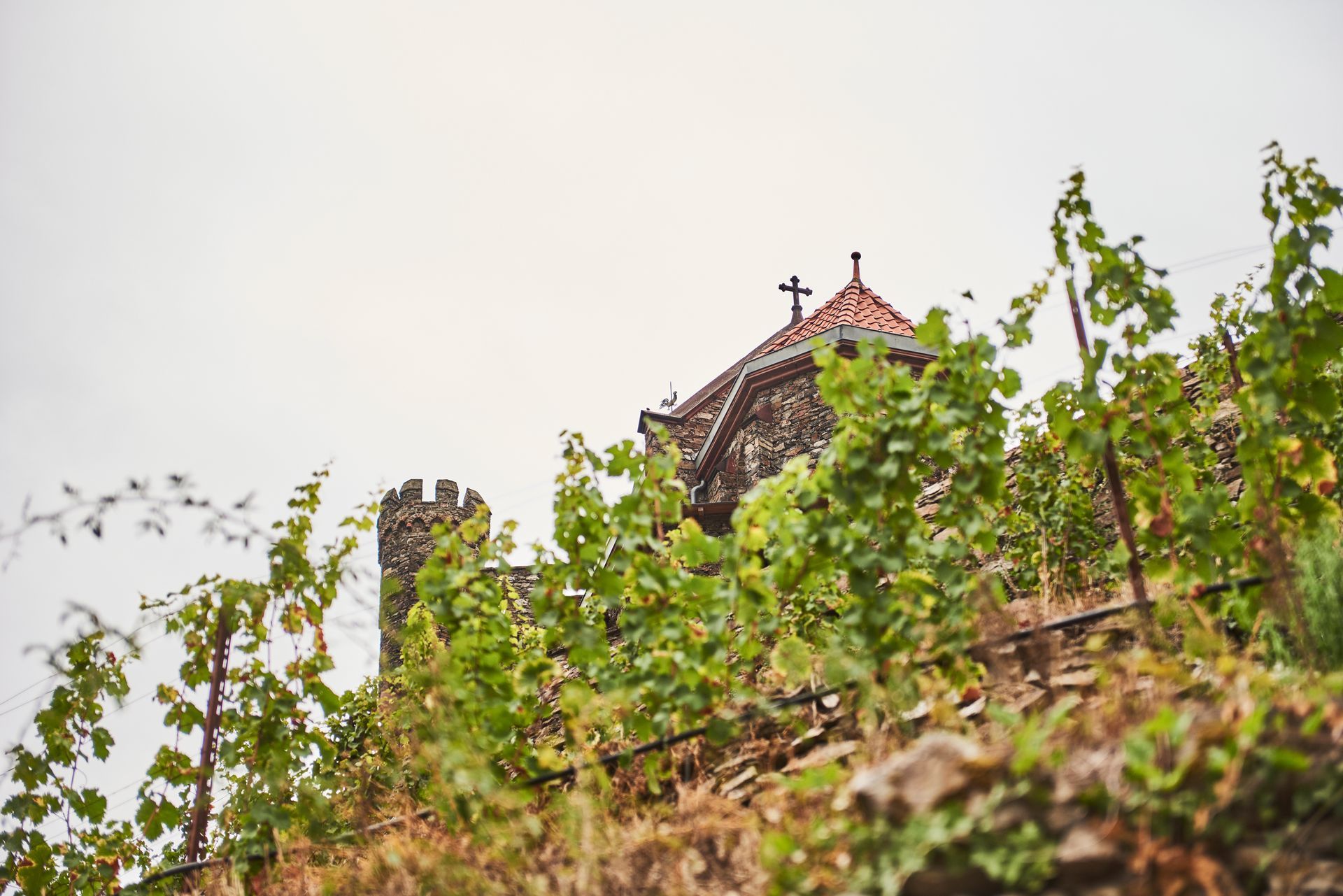 Weinreben wachsen an einem terrassierten Hang, der zu einer alten Steinkapelle mit einem Kreuz unter einem bewölkten Himmel hinaufführt.