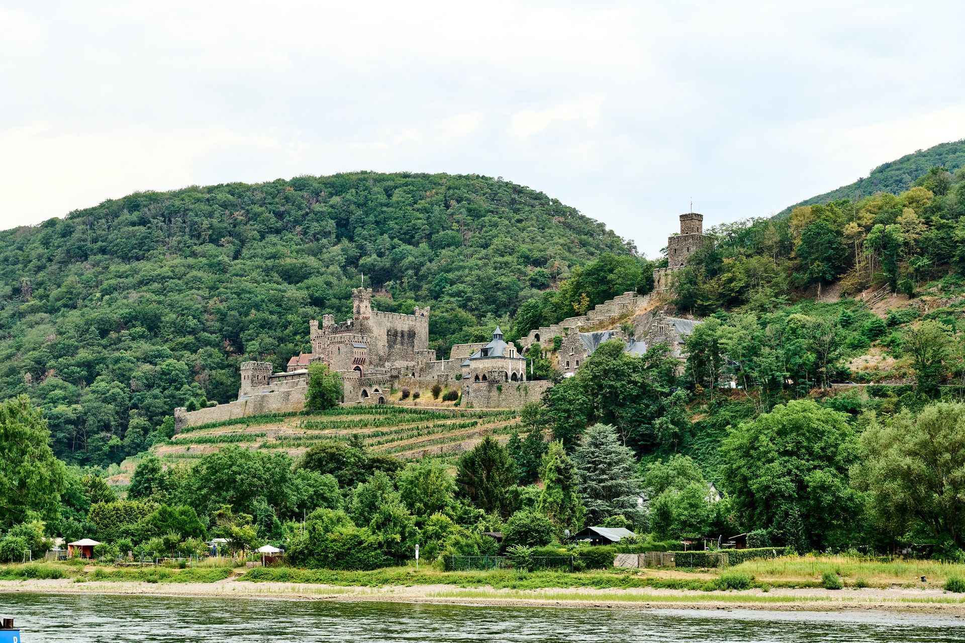 Eine steinerne Burgruine, eingebettet in einen üppigen, weinbewachsenen Hang mit Blick auf ein Flussufer.
