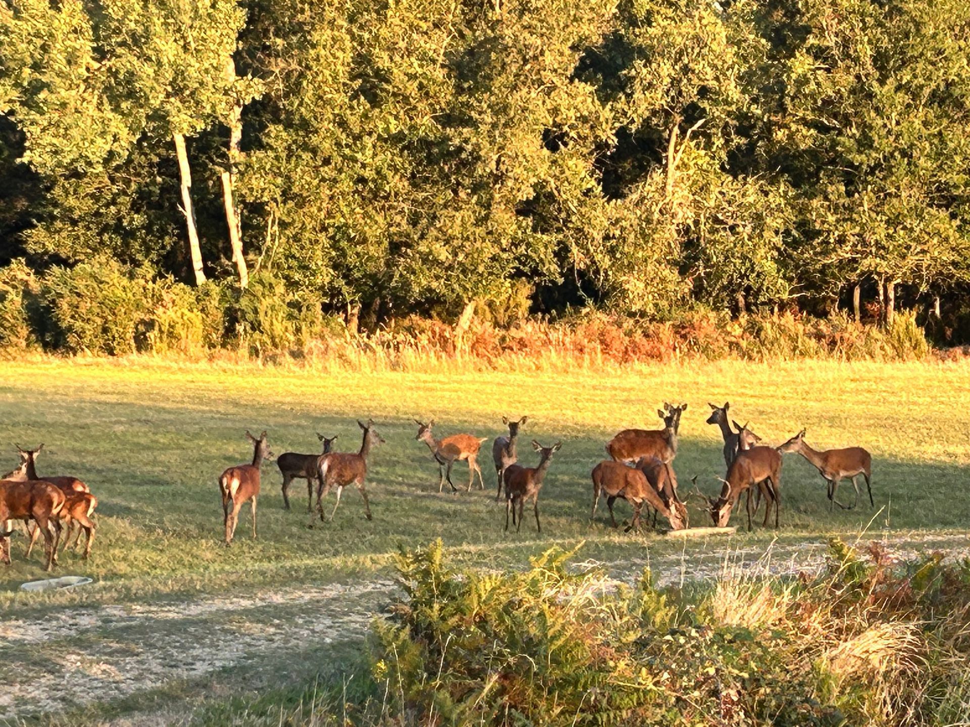 Journée au karting entre amis