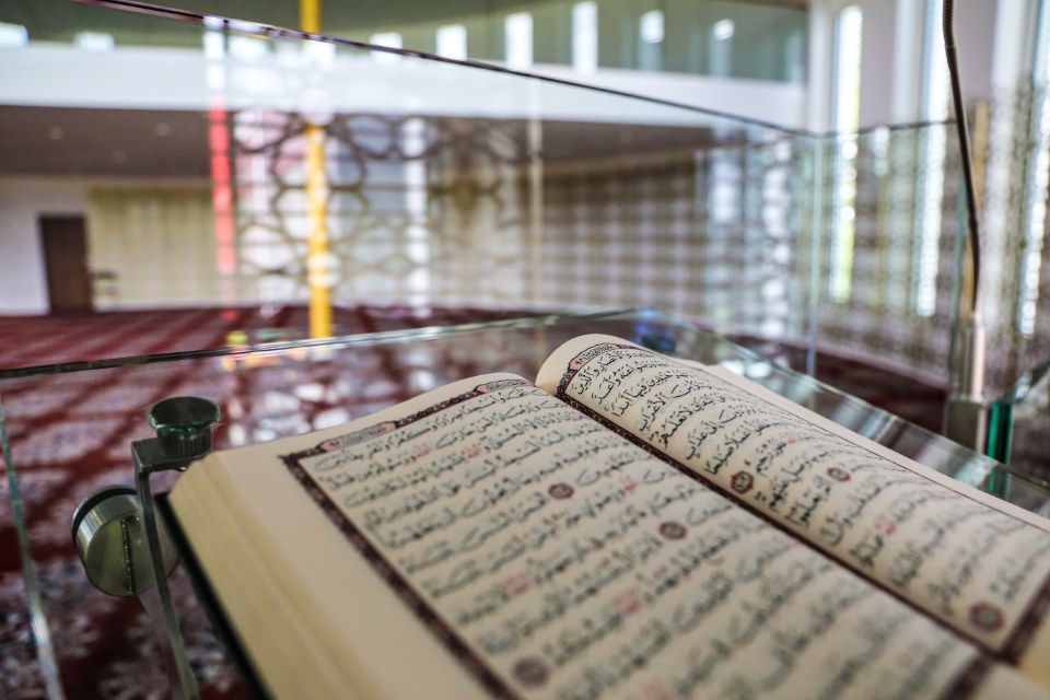 IBZ Wil MF Architektur