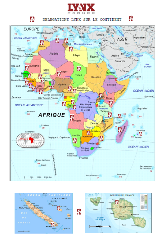Carte du continent africain montrant les différents pays qui le compose