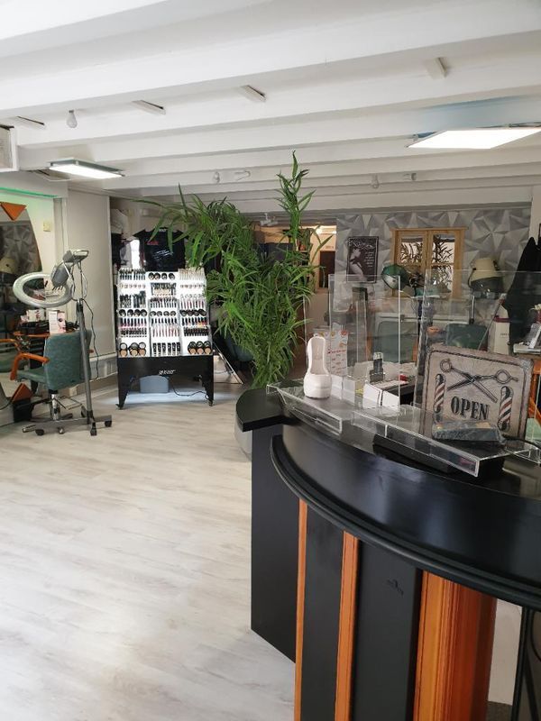 Intérieur de boutique moderne avec comptoir incurvé, plantes, présentoirs et parquet.
