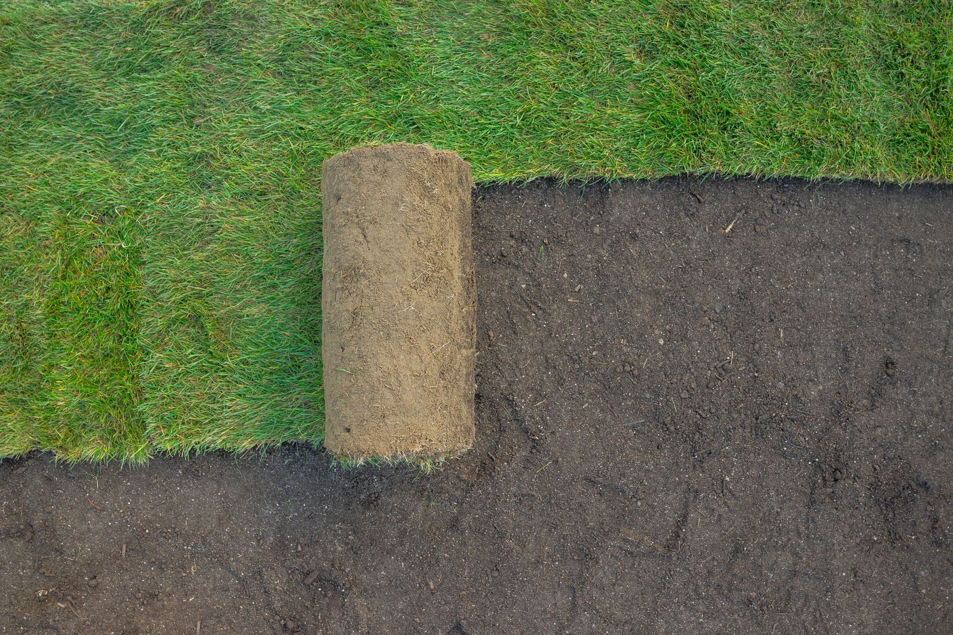 Eine Rasenrolle wird auf dunklem Boden ausgerollt, auf dem bereits grünes Gras liegt.