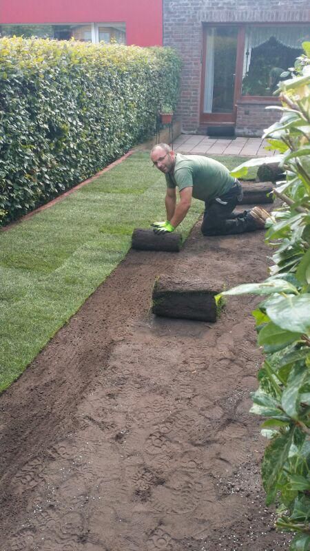 Verlegung von Rollrasen