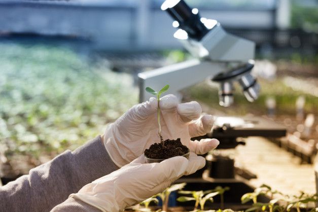 Manos enguantadas sosteniendo una muestra de suelo en un invernadero de laboratorio junto a un microscopio y plántulas.