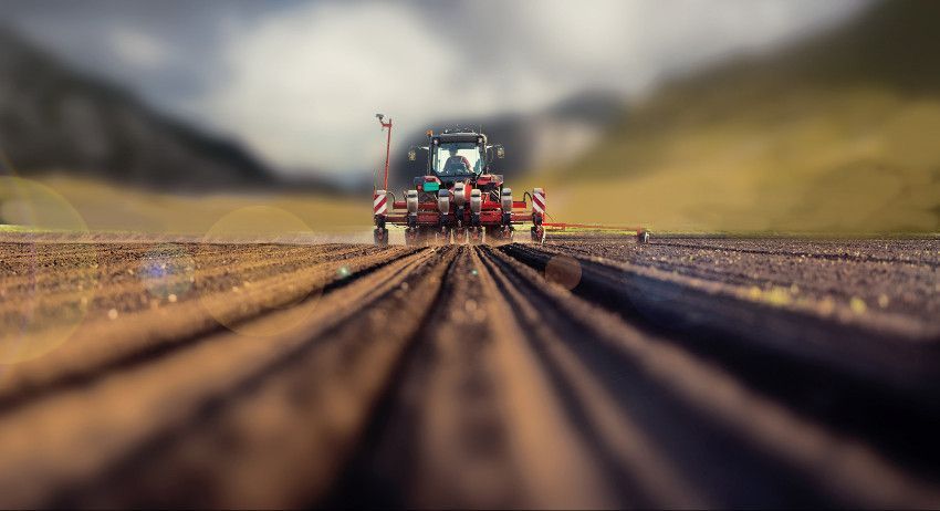 Tractor rociando hileras de cultivo en un campo, visto desde el nivel del suelo con poca profundidad de campo.