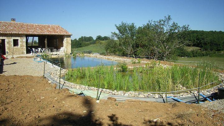 Un bassin devant une maison, avec des plantes dedans.