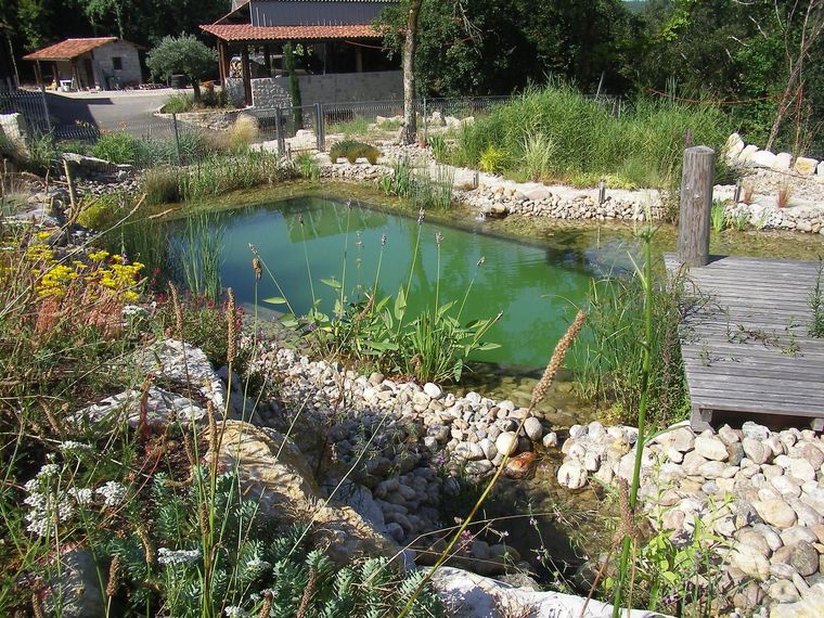 Un bassin dans un jardin.