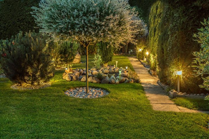Un jardin illuminé par des lumières d'extérieur.