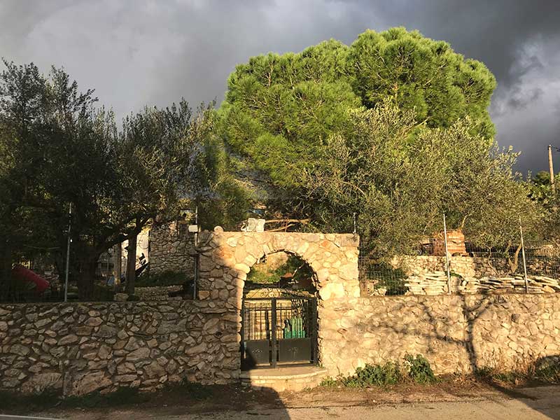 Grandpa Tasos' Farm