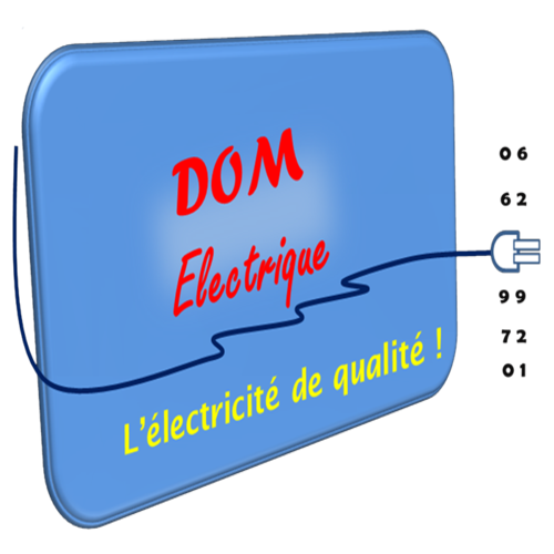 Logo Dom Electrique