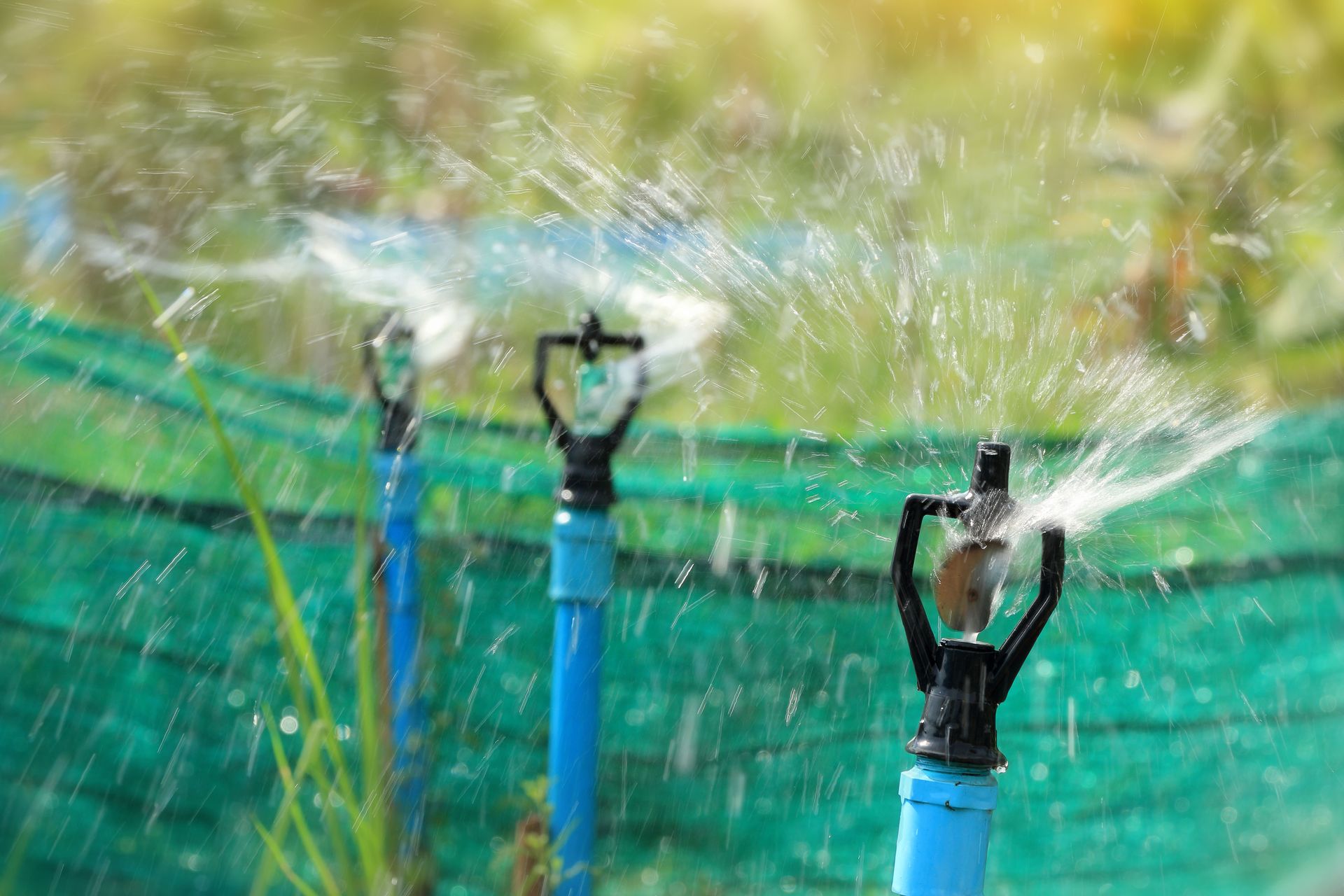 Aspersores de agua pulverizando agua en un jardín, tuberías azules, fondo verde.