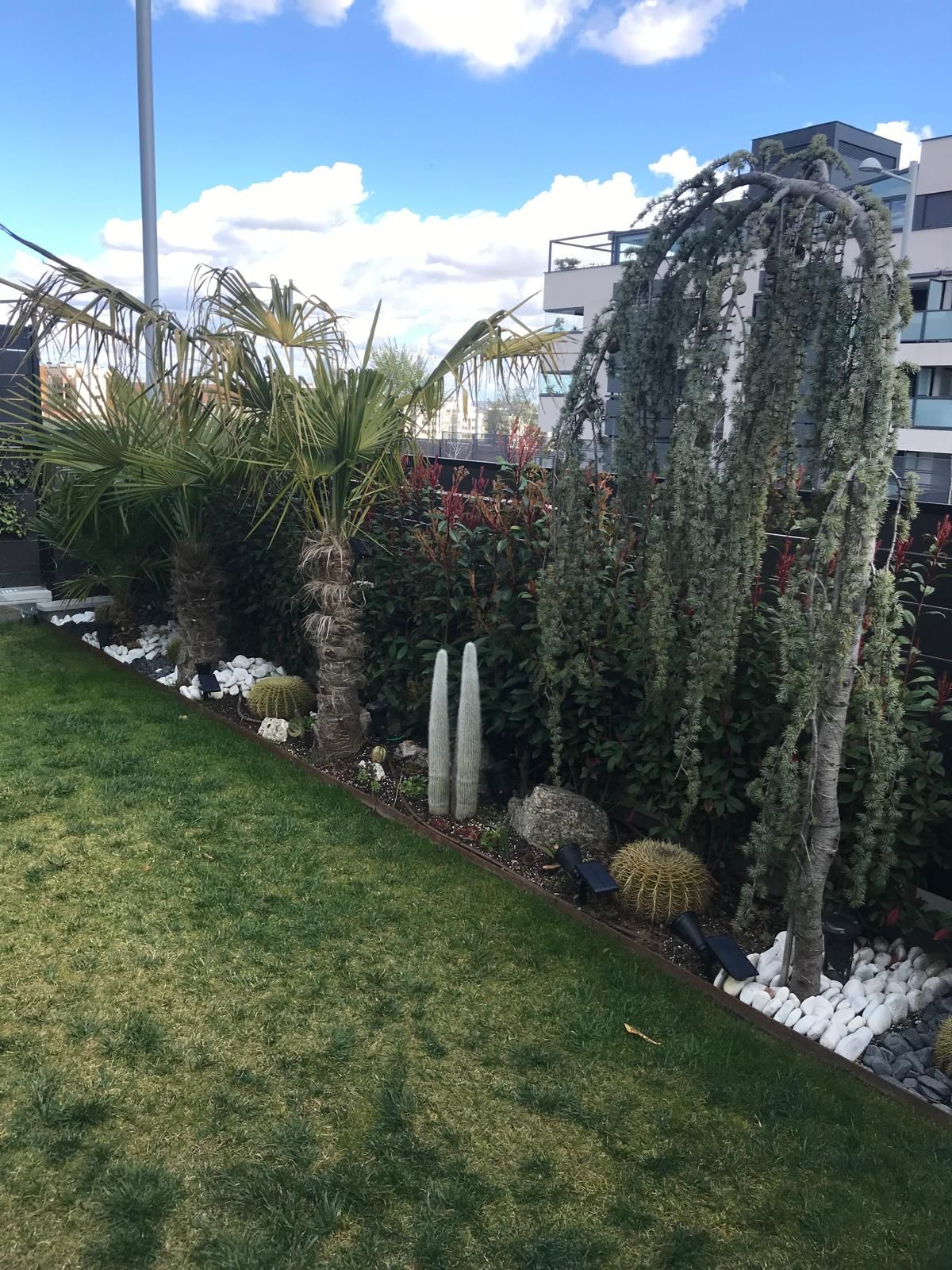 El césped verde bordea un jardín con árboles, arbustos y decoraciones de piedra, bajo un cielo azul.