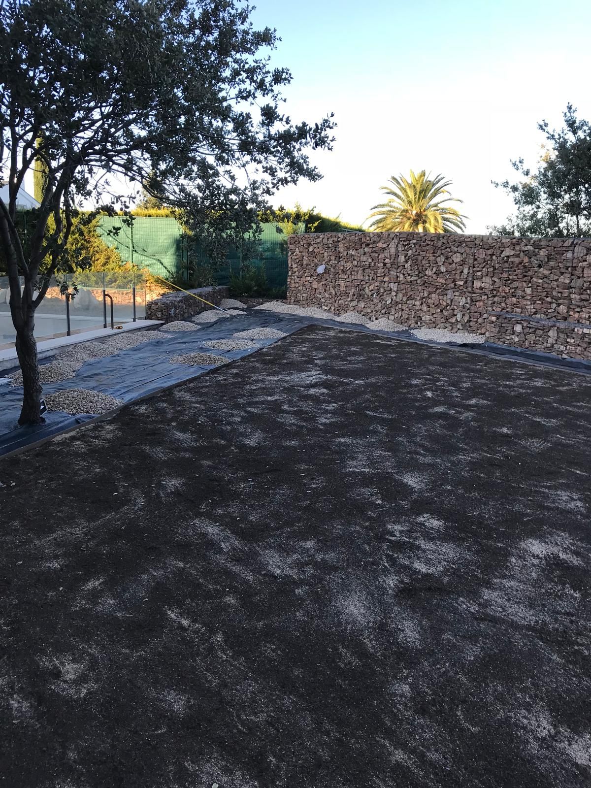 Un espacio al aire libre con una superficie oscura y texturizada, una pared de piedra y un árbol.