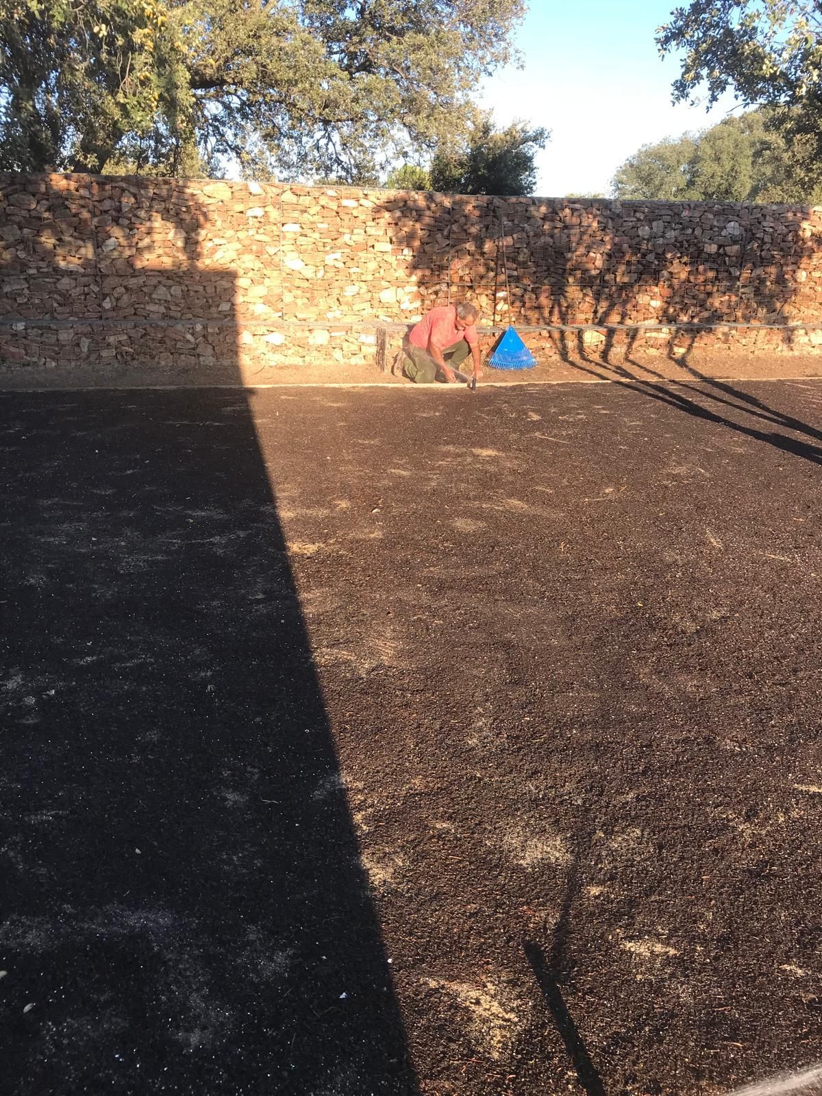 Zona exterior con pared de ladrillo, luz y sombras. Hay algunos objetos.