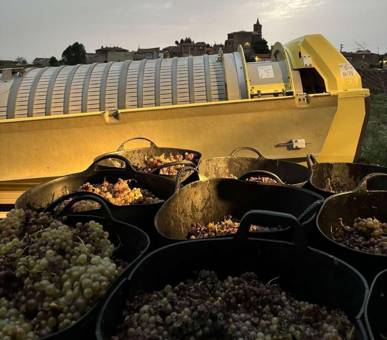 Cubos de uvas están delante de una máquina amarilla.