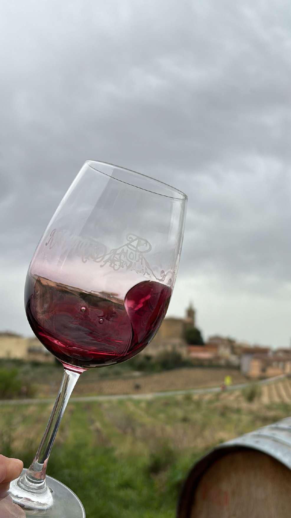 Una persona sostiene una copa de vino tinto delante de un barril.