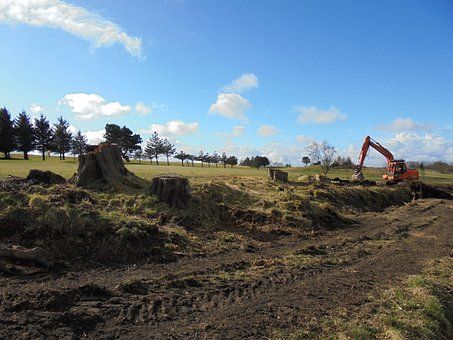 Excavadora trabajando en limpieza y nivelación de terreno para proyecto de paisajismo en Madrid