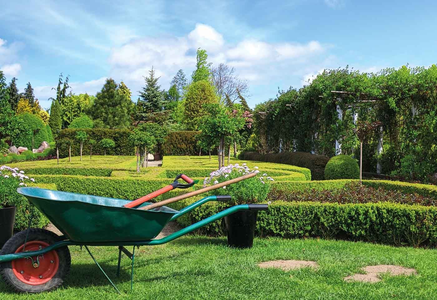 Una carretilla está colocada sobre un exuberante césped verde en un jardín.