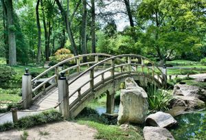 Un puente de madera sobre un estanque en un parque rodeado de árboles.