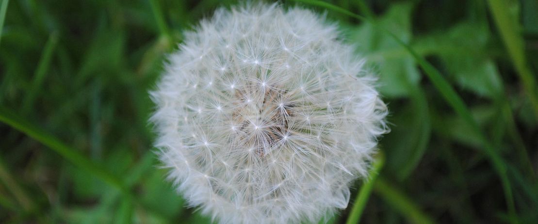 Ergotherapie Guido Meltzer