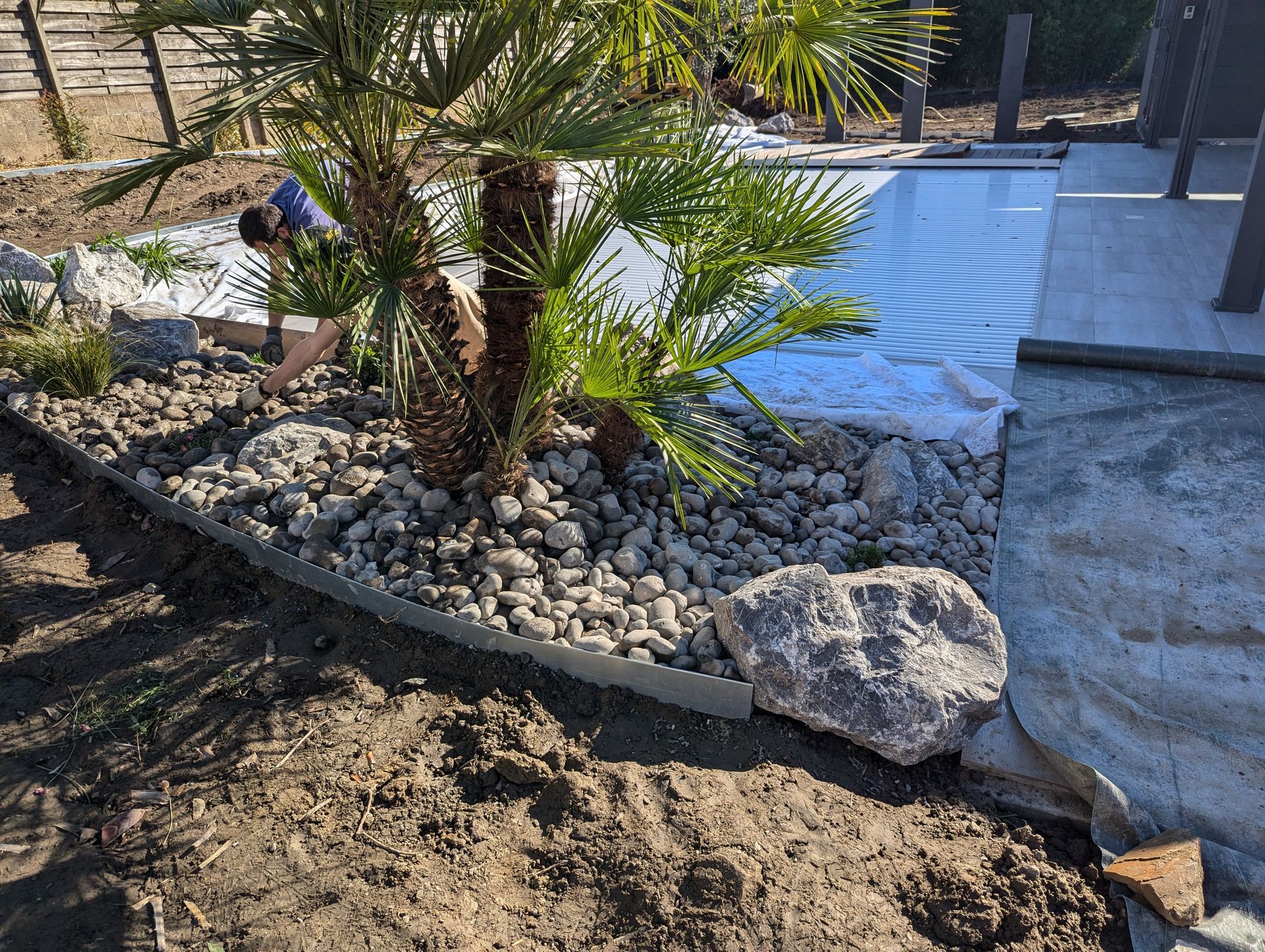 Aménagement paysager avec un palmier autour d'une piscine