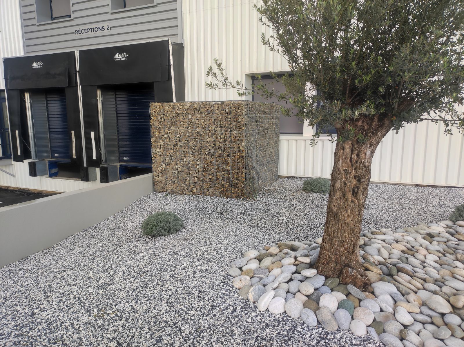 Création d'un massif arboré avec gravier devant la façade d'une entreprise