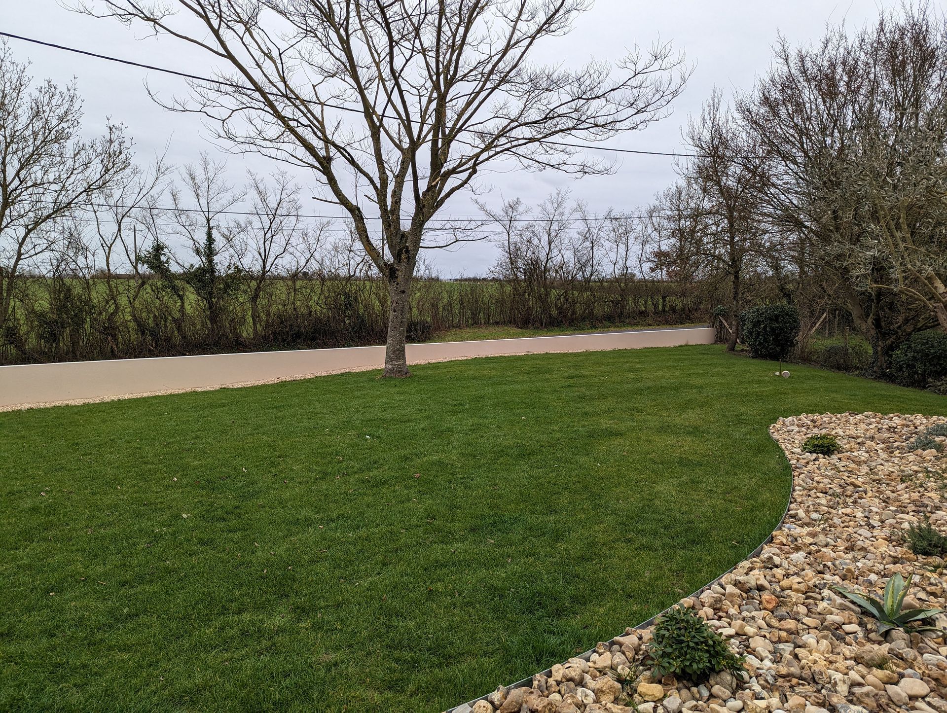 Entretien du gazon d'une maison individuelle