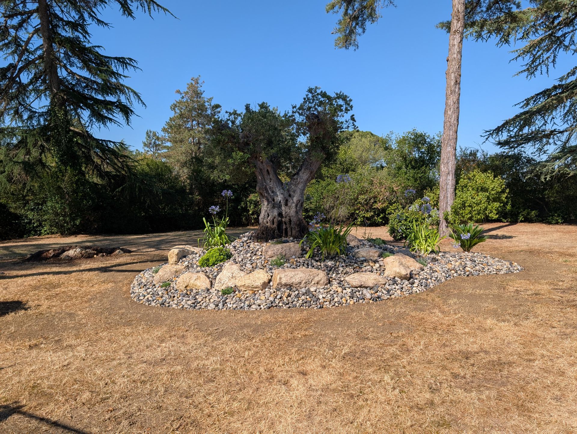 Aménagement d'un massif paysager mêlant des plantations et des pierres