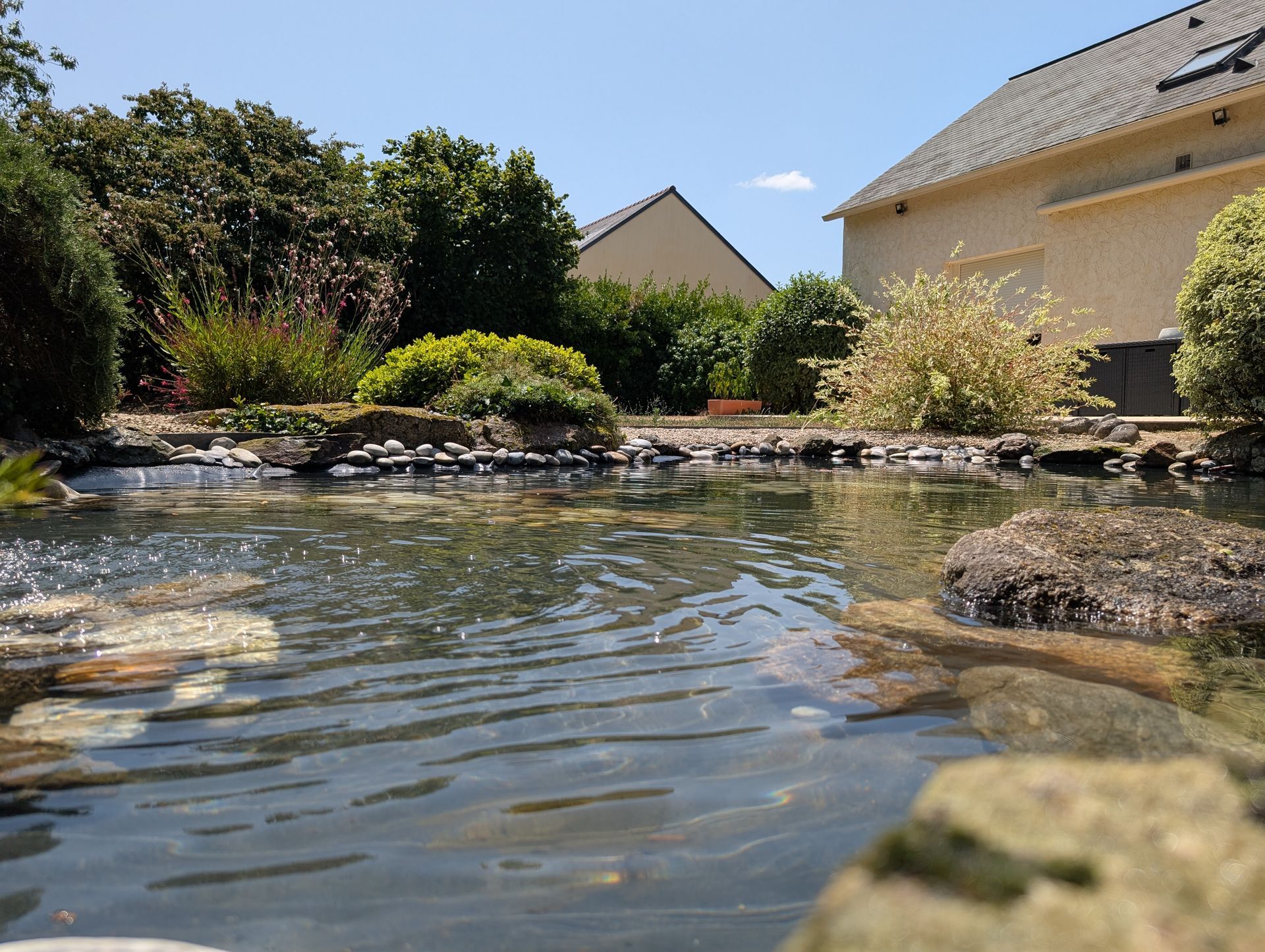 Vue au niveau de l'eau d'un bassin entouré de massifs paysagers