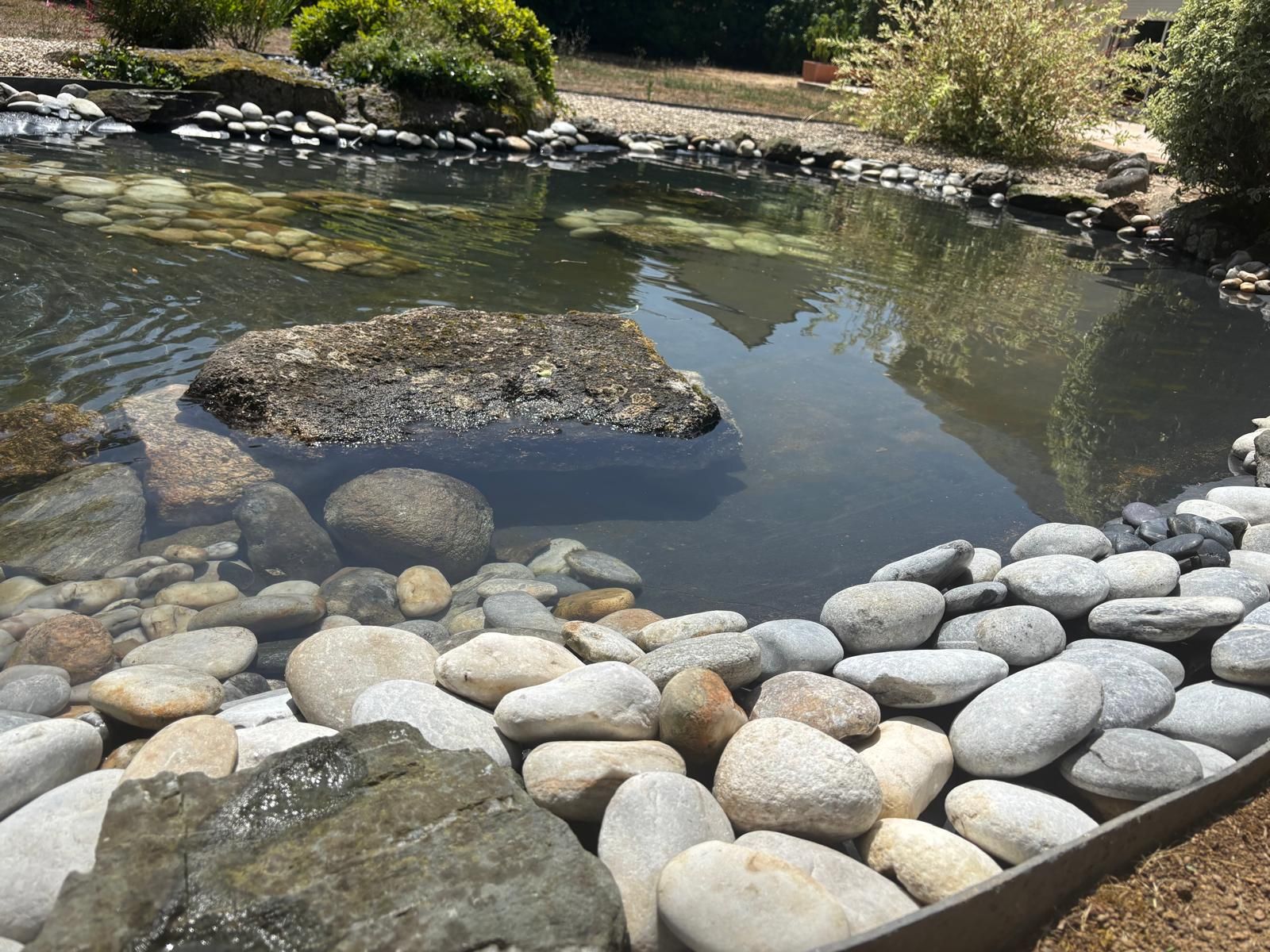 Vue plongeante sur un bassin aménagé dans le jardin d'une maison particulière avec des galets et un rocher