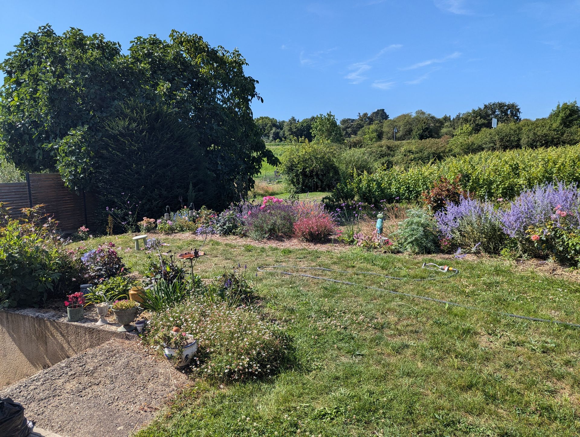 Tonte et taille des arbustes fleuris d'un jardin particulier