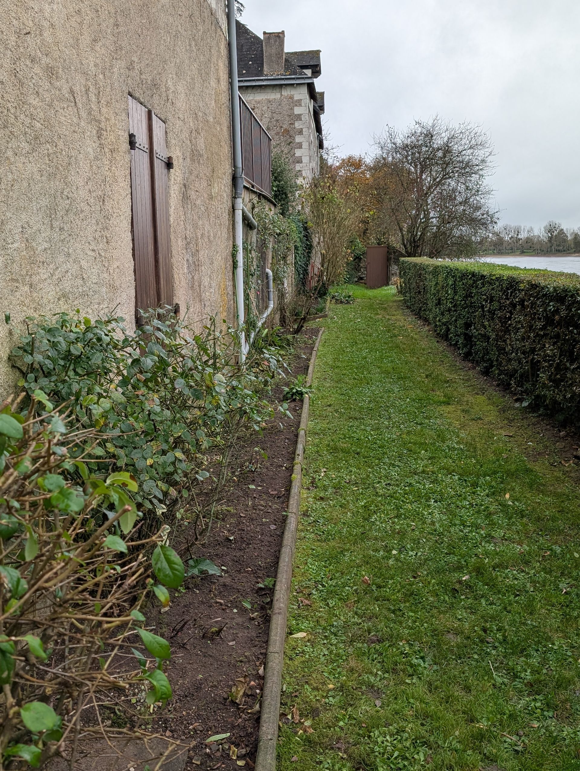 Entretien de la courette d'une maison de ville