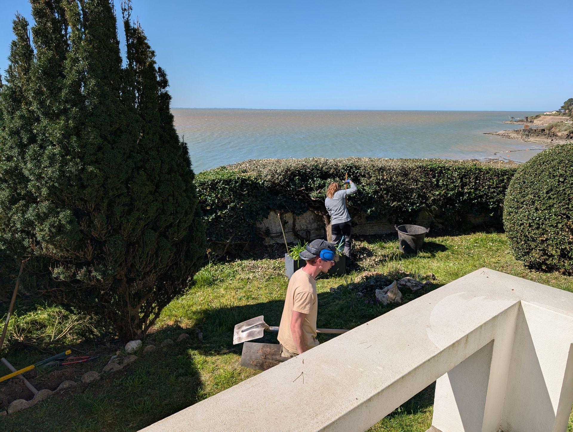 Tonte et taille des haies d'un jardin particulier